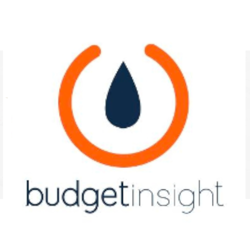 Budget Insight